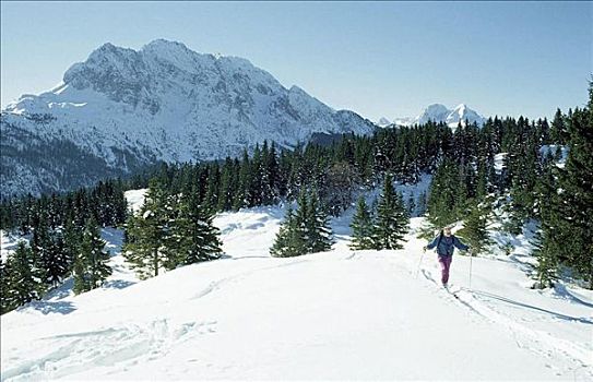 男人,滑雪,越野滑雪,冬天,冬季运动,雪,山峦,靠近,巴伐利亚,德国,欧洲,假日