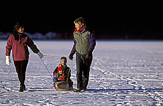 伴侣,拉拽,孩子,雪撬,冬天,不列颠哥伦比亚省,加拿大