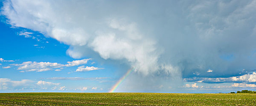 乌云,彩虹,上方,土地,艾伯塔省,加拿大