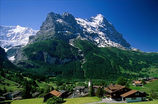 城镇,山峦,格林德威尔,阿尔卑斯山,瑞士