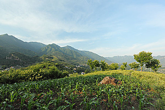 汉阴凤堰古梯田