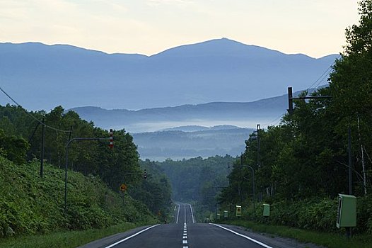 早晨,雾状,道路