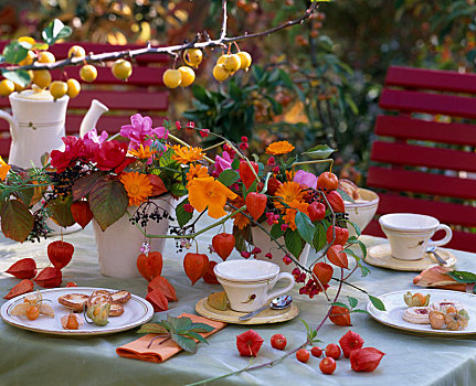 桌饰,粉色,玫瑰,金盏花,万寿菊,酸浆属植物,灯笼,花
