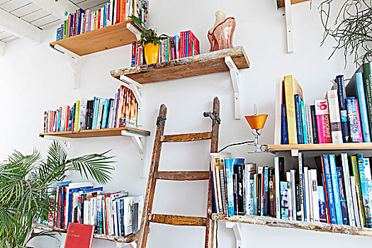 书架,白墙,木质,梯子