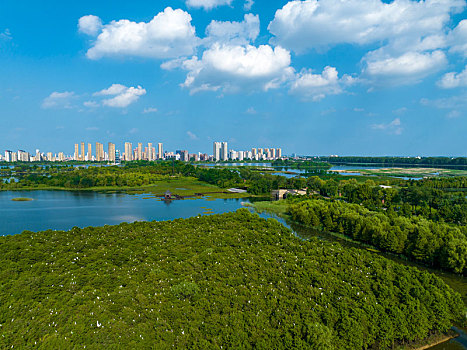 2022年8月1日,江苏省连云港市东海县西双湖风景区,郁郁葱葱,岸绿水清,天蓝景美,构成了一幅优美的夏日美景图,成为了市民休闲纳凉好去处