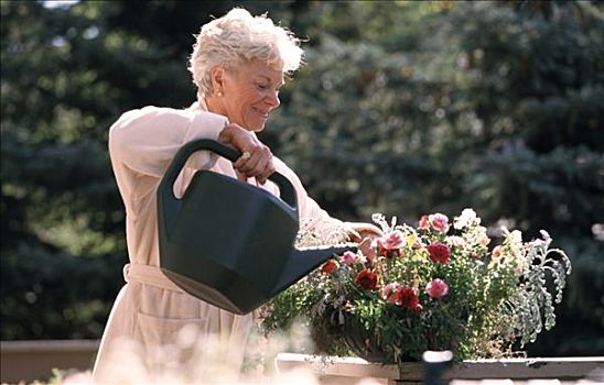 老年,女人,浇水,植物