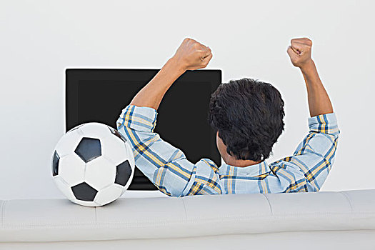 足球,球迷,欢呼,看电视