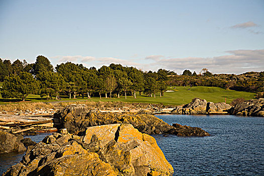 水岸,维多利亚,高尔夫球杆,不列颠哥伦比亚省,加拿大