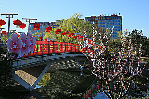 2016年3月27日北京海淀区玉渊潭公园樱花节樱花