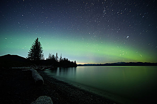 北极光,流星,右边,威廉王子湾,阿拉斯加,美国,北美