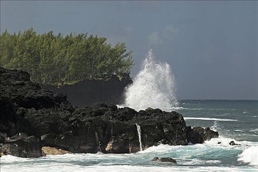 海岸,火山岩,南方,留尼汪岛,法国,非洲