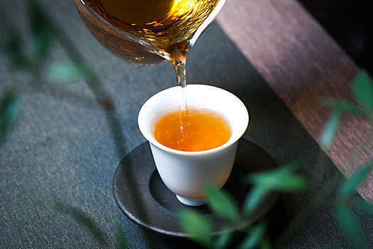 茶道,泡茶