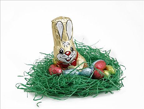 复活节兔子,巧克力蛋,鸟窝