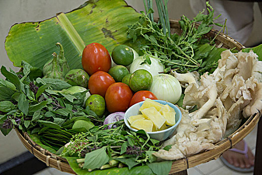 泰国,清迈,泰国美食,学校,准备,食物,成分,芽,叶子,蔬菜,蘑菇,加,柠檬
