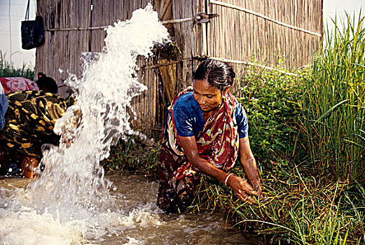 合作,灌溉,孟加拉