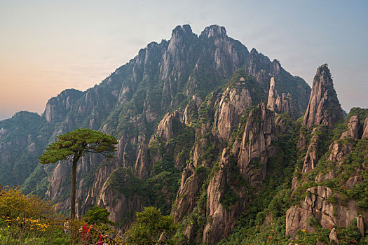 奇峰劲松三清山