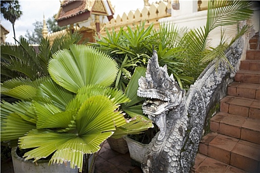 寺庙,万象,老挝