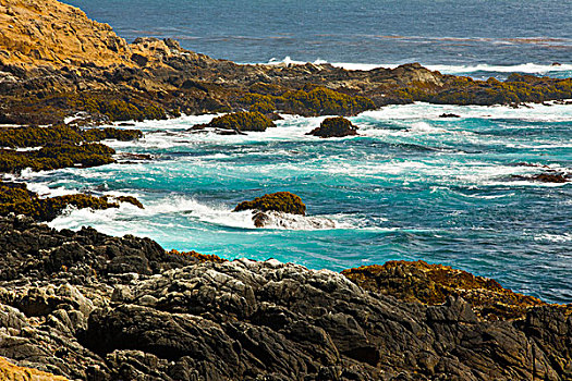 石头,海浪,州立公园,大,加利福尼亚,美国
