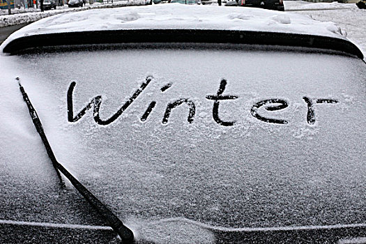 雪,汽车,冬天,初冬,低,雏菊,柏林,德国,欧洲