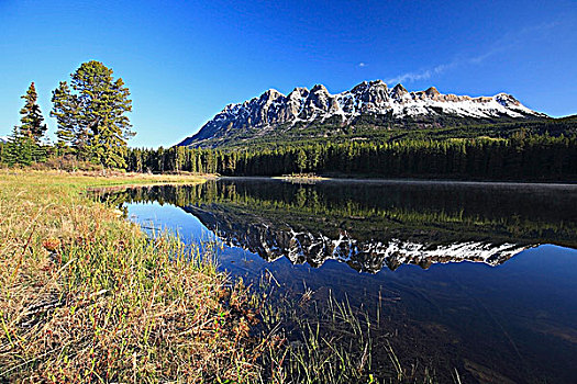 山,漂亮,春天,白天,罗布森山省立公园,不列颠哥伦比亚省,加拿大