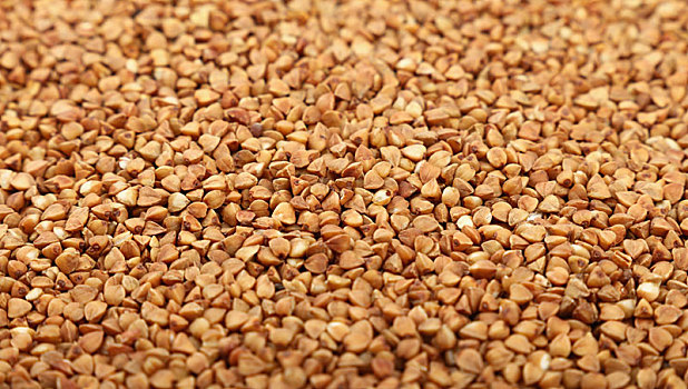 干燥,褐色,荞麦,去壳谷粒,特写,背景