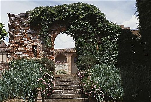 拱道,遮盖,常春藤,托斯卡纳,意大利