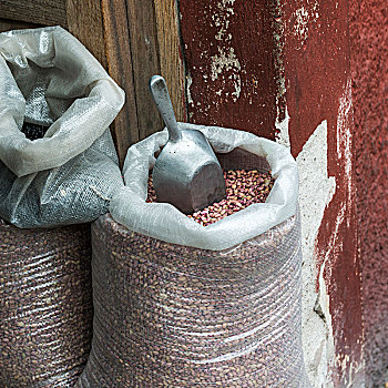 舀具,袋,干燥,豆,瓜纳华托,墨西哥