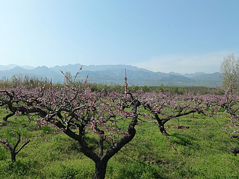 秦岭美景