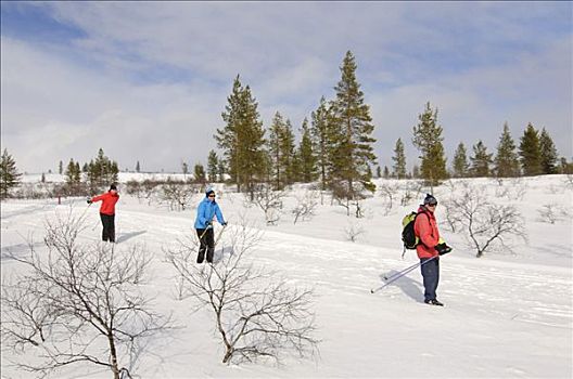 北欧,滑雪,越野滑雪者,国家公园,伊瓦洛,拉普兰,芬兰,欧洲