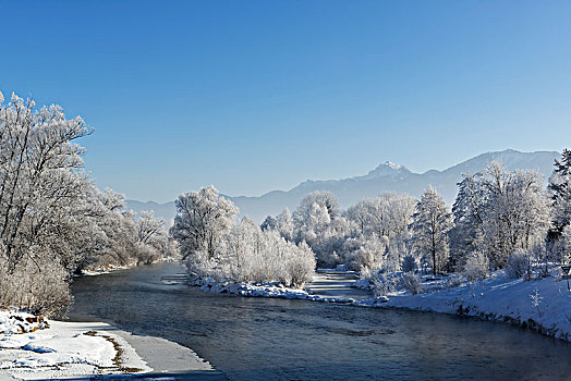 树,白霜,河,洛伊萨赫河,市区,上巴伐利亚,巴伐利亚,德国,欧洲