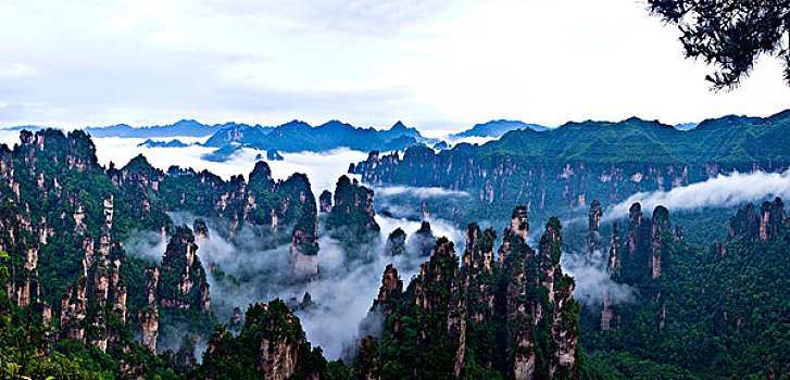 湖南,张家界,天子山,点将台