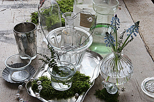静物,玻璃花瓶,苔藓,麝香兰