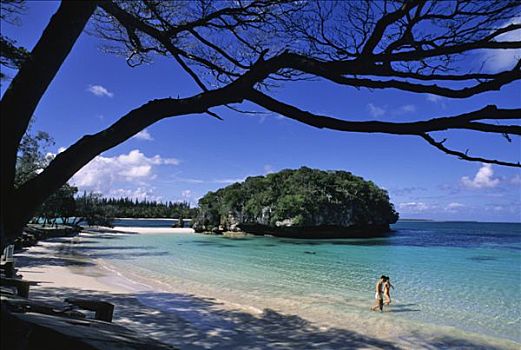 新加勒多尼亚,海滩,日本人,游客