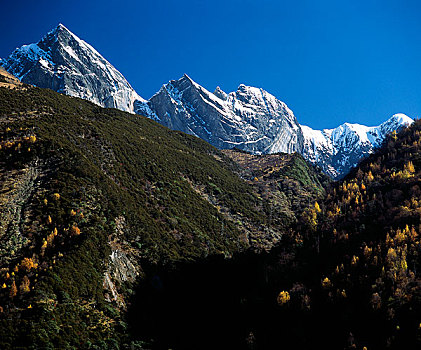 四川四姑娘山