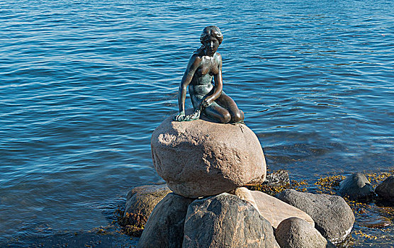 小美人鱼,青铜,雕塑,散步场所,内港,哥本哈根,丹麦,欧洲