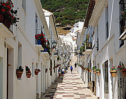 圣塞巴斯蒂安,狭窄街道,山村,米哈斯,马拉加,安达卢西亚,西班牙