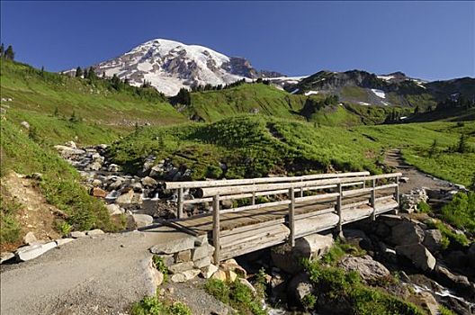 雷尼尔山,雷尼尔山国家公园,皮尔斯县,喀斯喀特山脉,华盛顿,美国