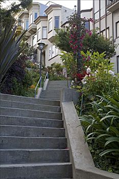 楼梯,电报,山,旧金山,加利福尼亚,美国