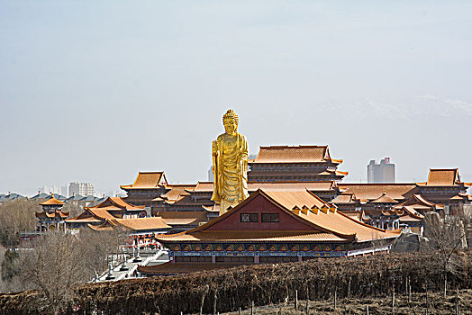 乌鲁木齐红光山西域大佛