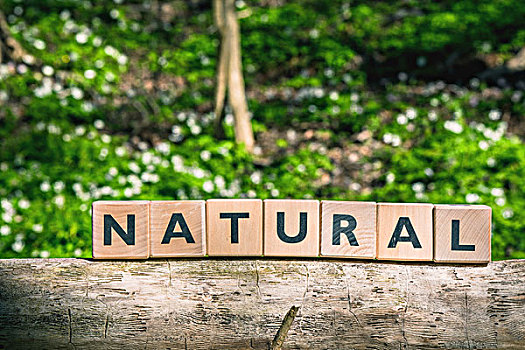 标识,文字,自然,绿色,树林