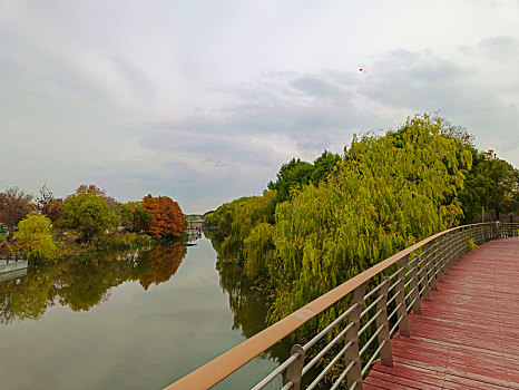 长江口湿地公园,浏河