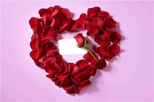 红玫瑰,花瓣,心形,留白,留言