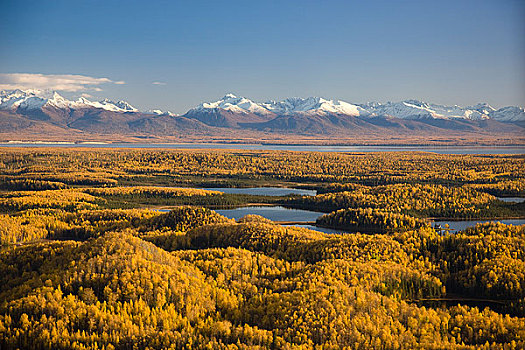航拍,湖,桦树,树林,相对,手臂,楚加奇山,背景,阿拉斯加