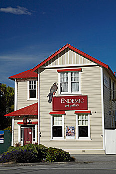 老,邮局,本土动植物,画廊,中心,奥塔哥,南岛,新西兰