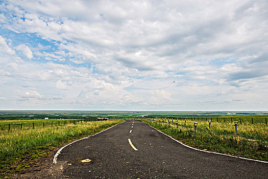 草原道路