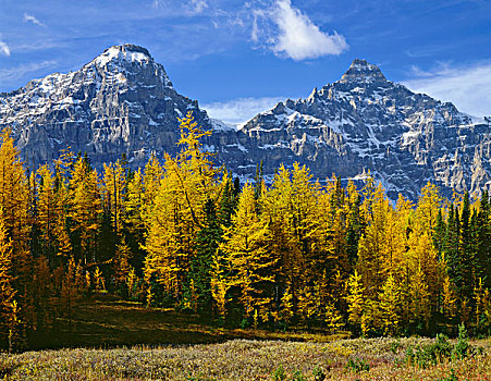 加拿大,艾伯塔省,班芙国家公园,山,左边,右边,局部,顶峰,俯瞰,高山,落叶松属植物,山谷,大幅,尺寸