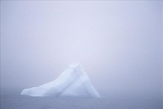 冰山,天堂湾,南极