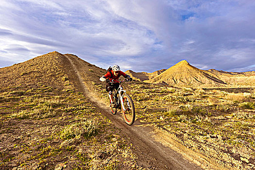山地自行车,小路,科罗拉多,美国