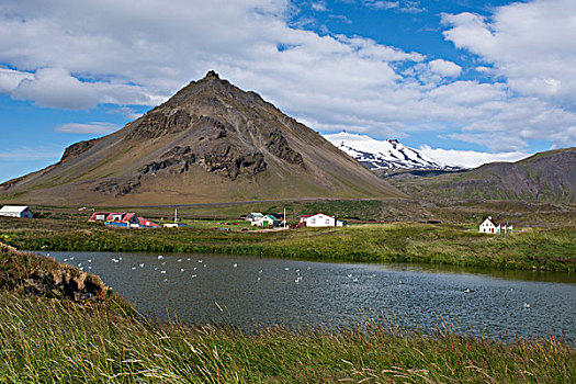 西部,冰岛,韦斯特兰德,斯奈山半岛,小,渔村,脚,山,冰河,远景