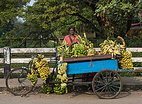 香蕉,出售,手推车,地区,喀拉拉,印度,亚洲